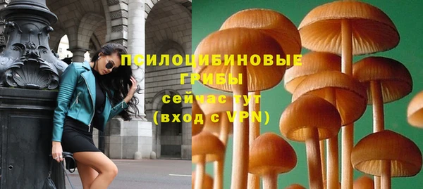 винт Арсеньев