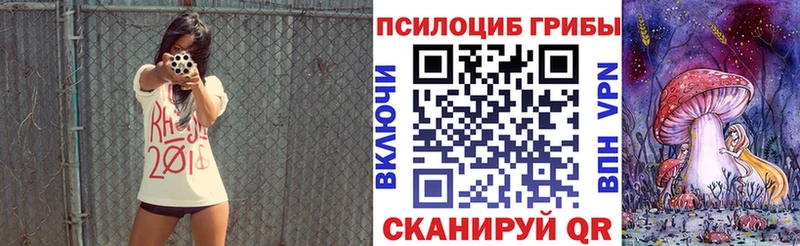 закладка  Ржев  Галлюциногенные грибы MAGIC MUSHROOMS 